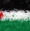 Gambar Kartun Perang Palestina